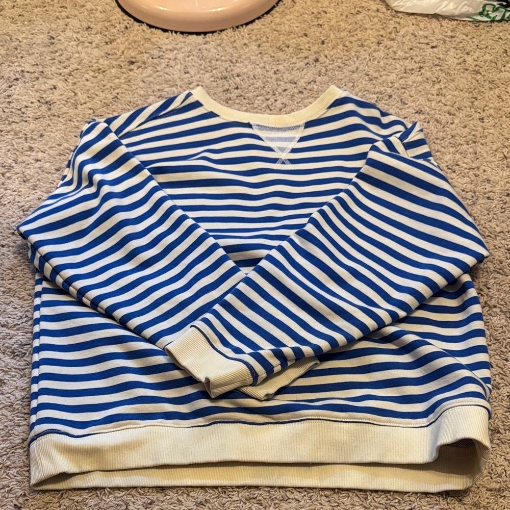 Wishlist cream and Blue Striped crewneck